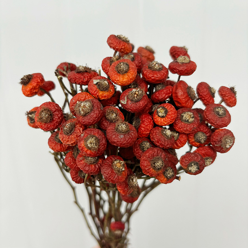 Dried Flower Bunch - ดอกกุหลาบฮิปแห้ง 10 ชิ้น/ช่อ ดอกไม้แห้งธรรมชาติสำหรับตกแต่งบ้าน ห้องนั่งเล่น งานแต่งงาน