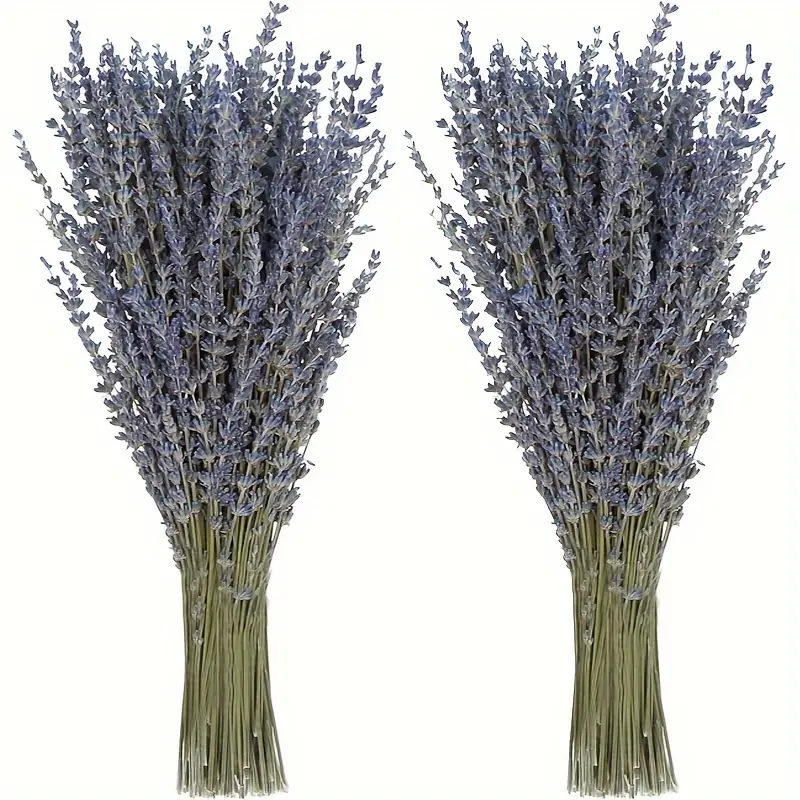 Dried Flower Bunch - 200 ชิ้น/ช่อ ดอกลาเวนเดอร์แห้ง สำหรับตกแต่งบ้าน ห้องนั่งเล่น วัสดุอโรมาเธอราพี