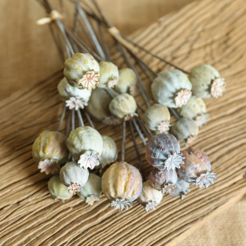 Dried Flower Bunch - ช่อดอกไม้ผลไม้แห้งดอกป๊อปปี้6หัวช่อดอกไม้ดอกไม้ประดิษฐ์สำหรับตกแต่งบ้านปาร์ตี้งานแต่งงานดอกไม้ปีใหม่