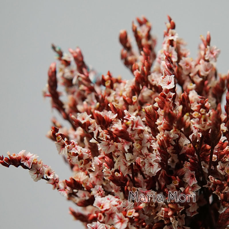 Dried Flower Bunch - 5g/สีสัน Dired เก็บรักษาไว้คริสตัลหญ้า Home Office Wedding