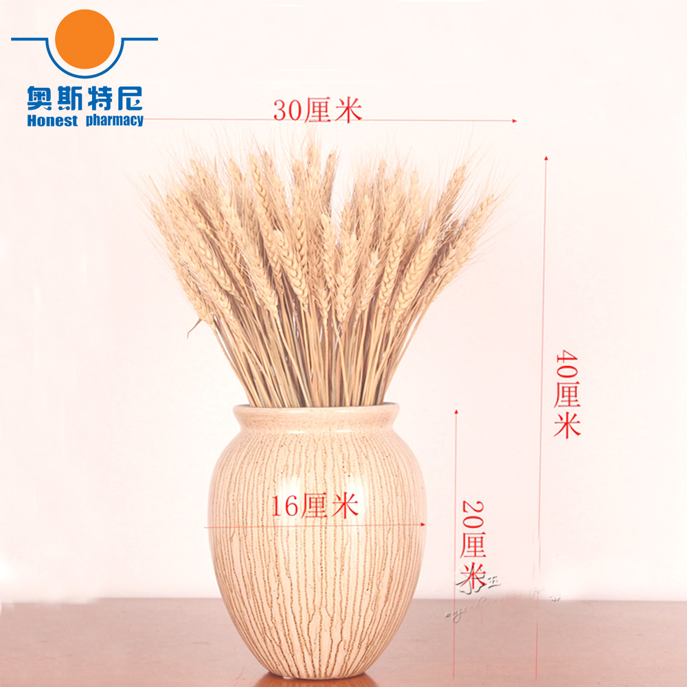 Dried Flower Bunch - 50 ชิ้นดอกไม้แห้งธรรมชาติช่อดอกไม้หูแห้งช่อดอกไม้ข้าวสาลีหูช่อจริงข้าวสาลีหูดอกไม้สําหรับงานแต่งงาน Party Decor