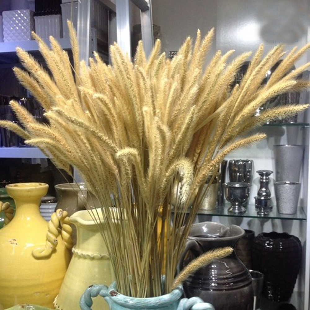 Dried Flower Bunch - 200 ชิ้นธรรมชาติแห้ง Lagurus ovatus ช่อดอกไม้ &