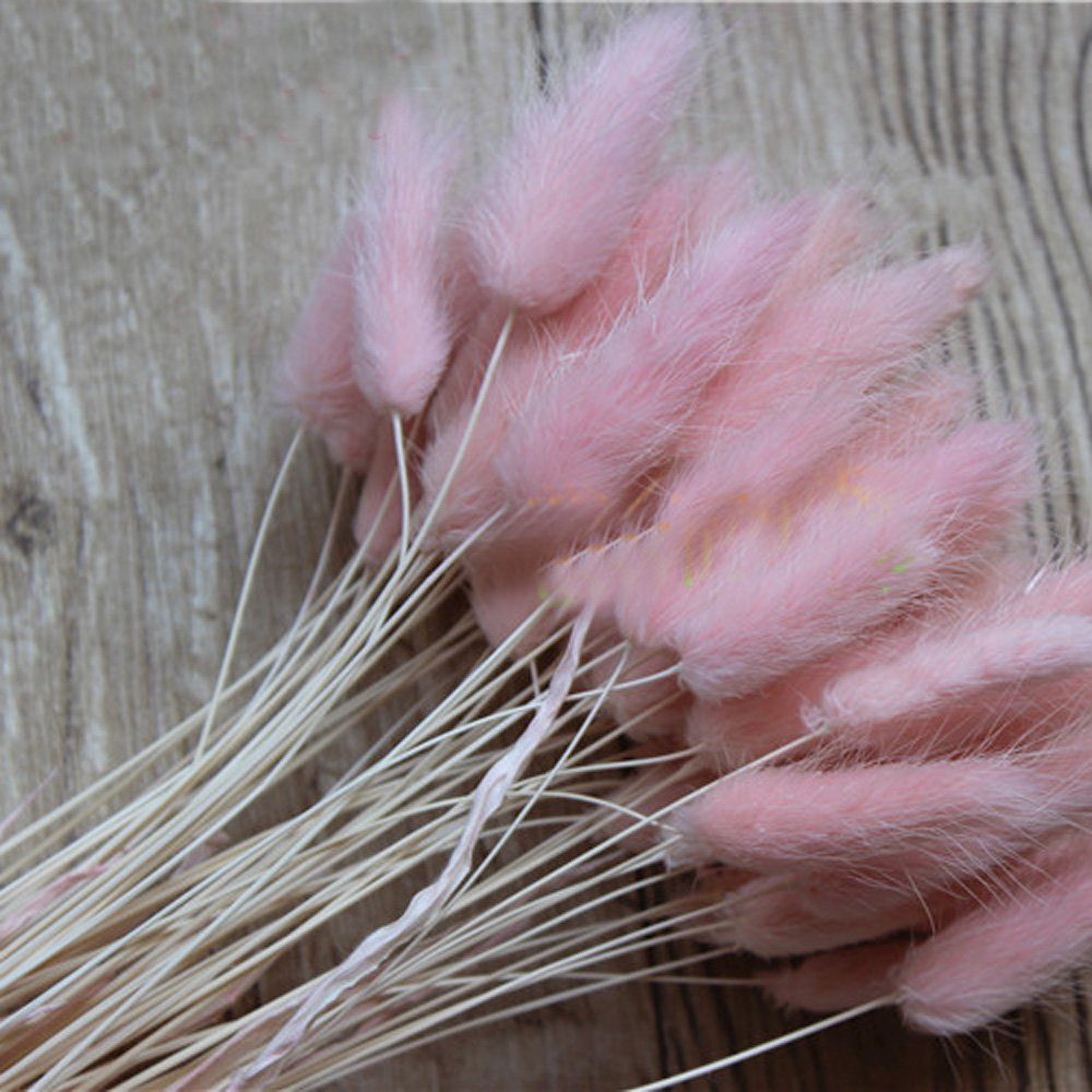 50 ชิ้นแห้งธรรมชาติช่อดอกไม้สี - Dried Flower Bunch บทวิจารณ์และราคา