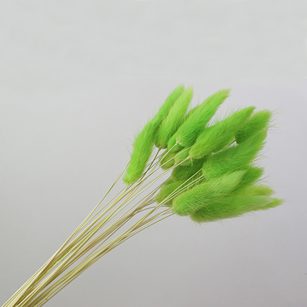 50 ชิ้นแห้งธรรมชาติช่อดอกไม้สี - Dried Flower Bunch บทวิจารณ์และราคา