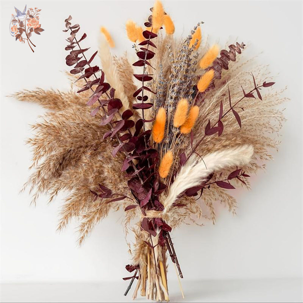 75PCS แห้ง Pampas Eucalyptus L - Dried Flower Bunch บทวิจารณ์และราคา