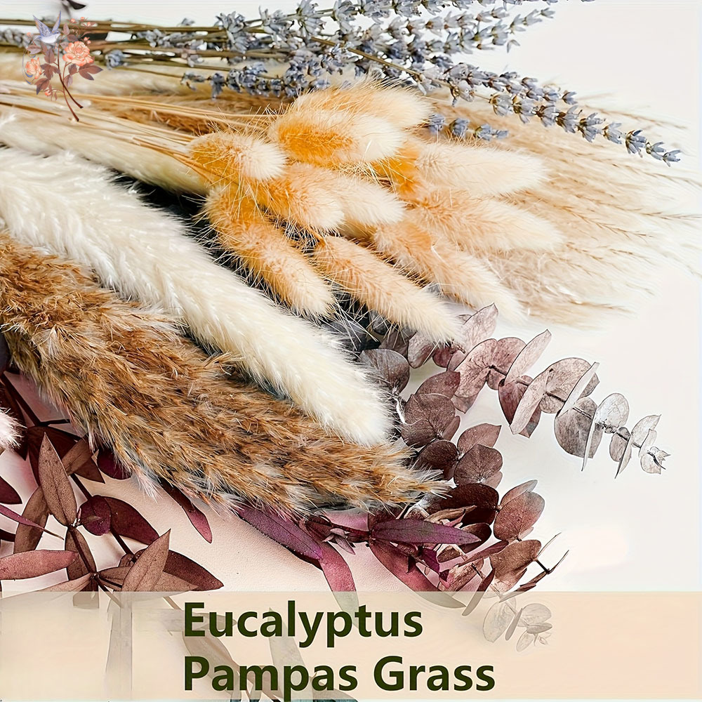 75PCS แห้ง Pampas Eucalyptus L - Dried Flower Bunch บทวิจารณ์และราคา