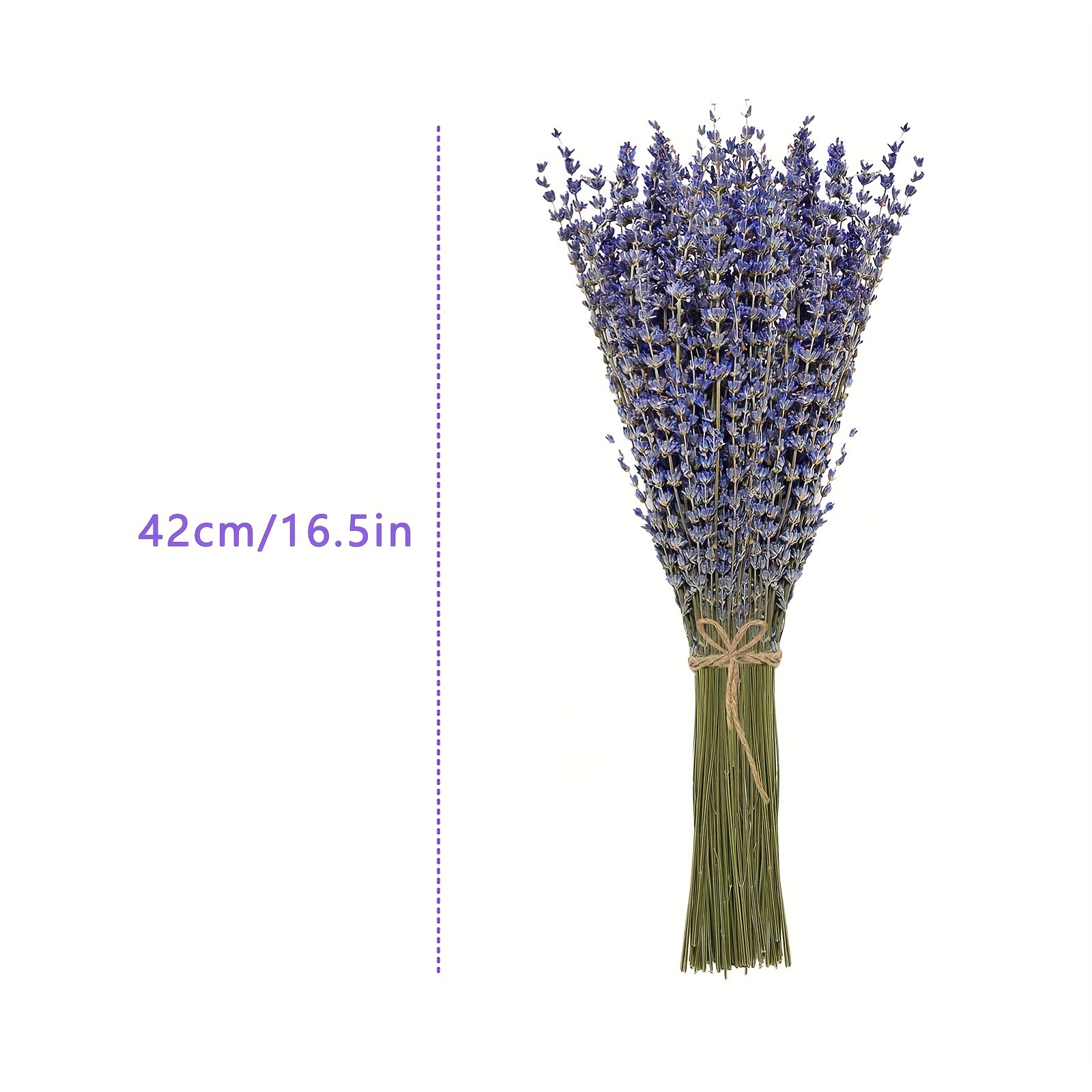 200 ชิ้น/ช่อ ดอกลาเวนเดอร์แห้ง - Dried Flower Bunch บทวิจารณ์และราคา