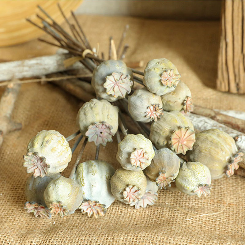ช่อดอกไม้ผลไม้แห้งดอกป๊อปปี้6ห - Dried Flower Bunch บทวิจารณ์และราคา