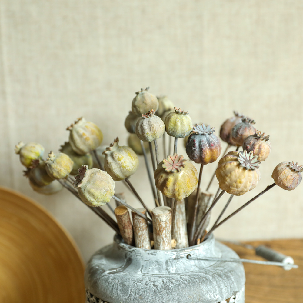 ช่อดอกไม้ผลไม้แห้งดอกป๊อปปี้6ห - Dried Flower Bunch บทวิจารณ์และราคา