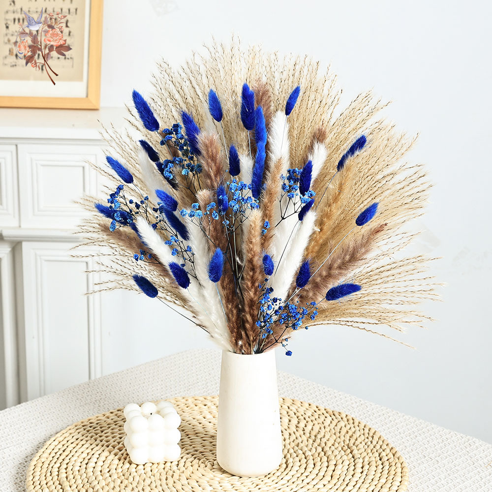 70 Stem Blue Fluffly หางกระต่า - Dried Flower Bunch บทวิจารณ์และราคา