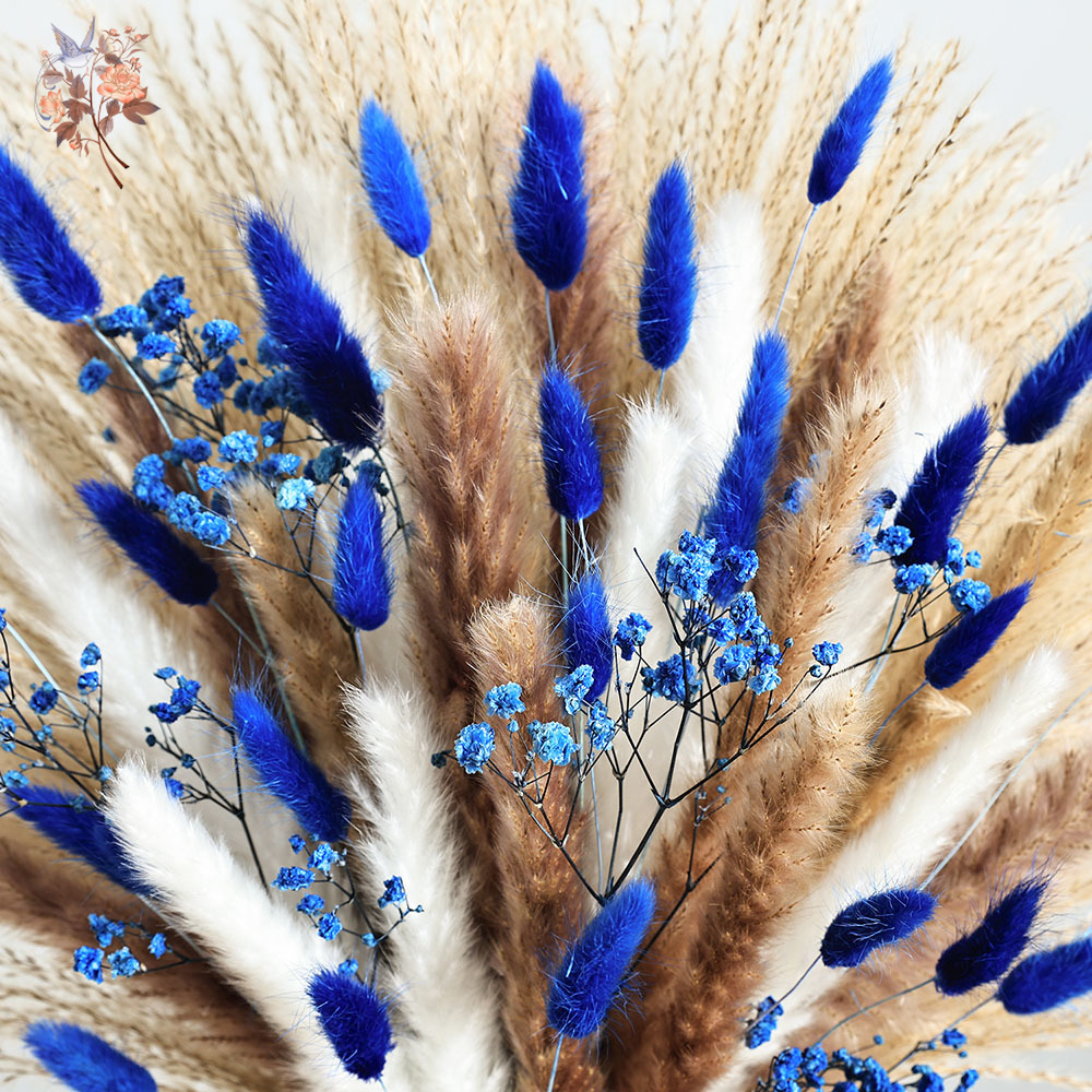 70 Stem Blue Fluffly หางกระต่า - Dried Flower Bunch บทวิจารณ์และราคา