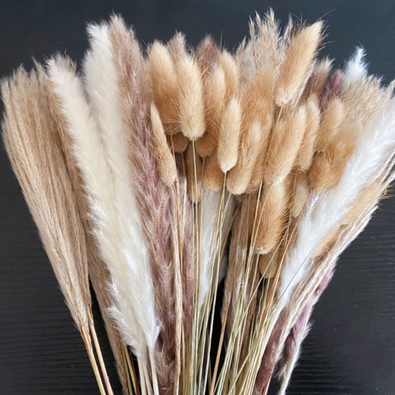 จำนวนมาก 100PCS แห้ง Pampas Gr - Dried Flower Bunch บทวิจารณ์และราคา