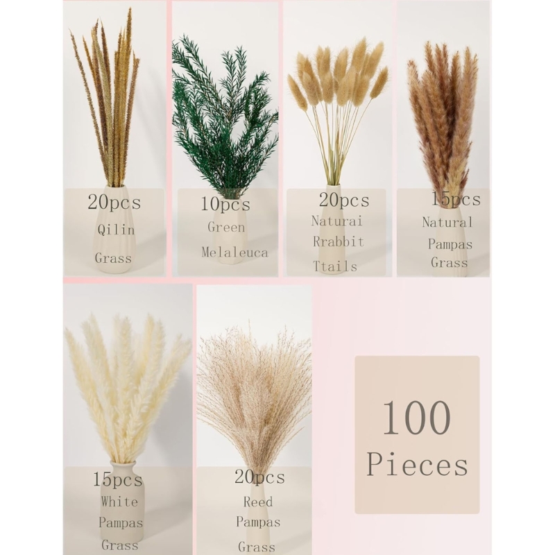 จำนวนมาก 100PCS แห้ง Pampas Gr - Dried Flower Bunch บทวิจารณ์และราคา