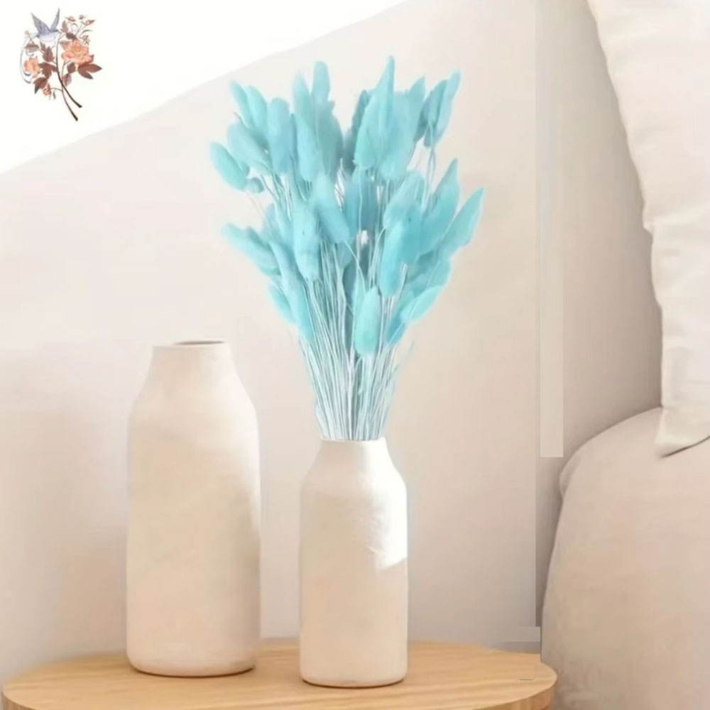 100 ชิ้นธรรมชาติกระต่ายหางหญ้า - Dried Flower Bunch บทวิจารณ์และราคา
