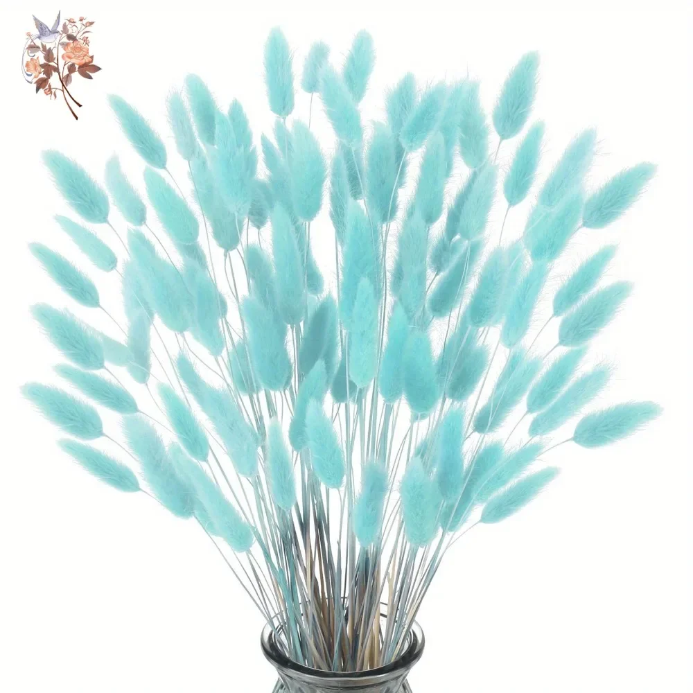100 ชิ้นธรรมชาติกระต่ายหางหญ้า - Dried Flower Bunch บทวิจารณ์และราคา