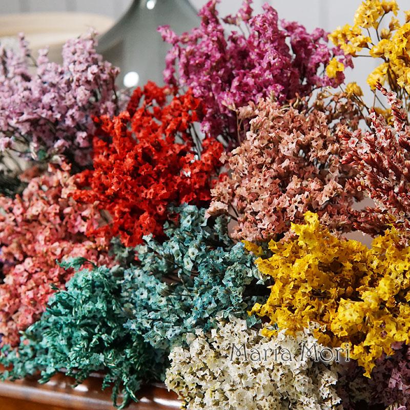 5g/สีสัน Dired เก็บรักษาไว้คริ - Dried Flower Bunch บทวิจารณ์และราคา