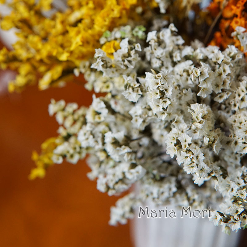 5g/สีสัน Dired เก็บรักษาไว้คริ - Dried Flower Bunch บทวิจารณ์และราคา