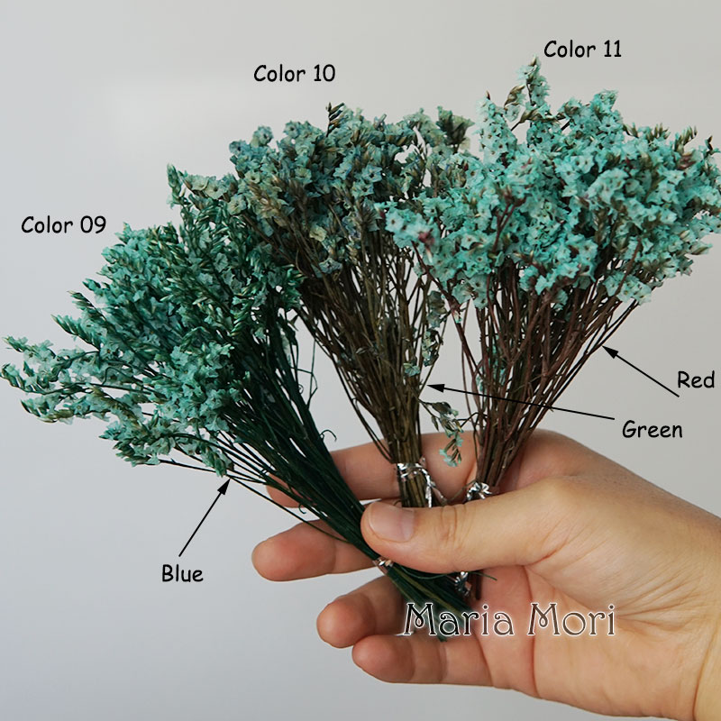 5g/สีสัน Dired เก็บรักษาไว้คริ - Dried Flower Bunch บทวิจารณ์และราคา