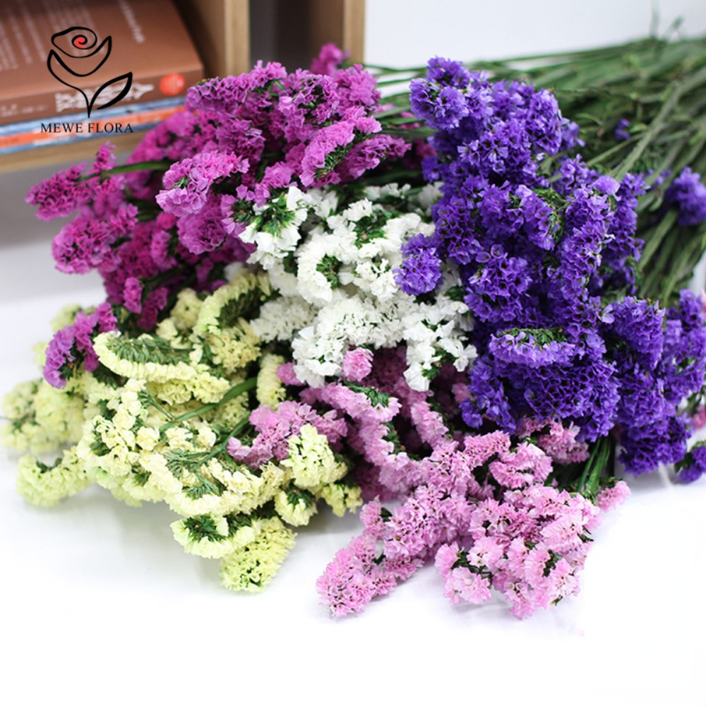 100กรัมแห้งลืมฉันไม่ได้ดอกไม้ม - Dried Flower Bunch บทวิจารณ์และราคา