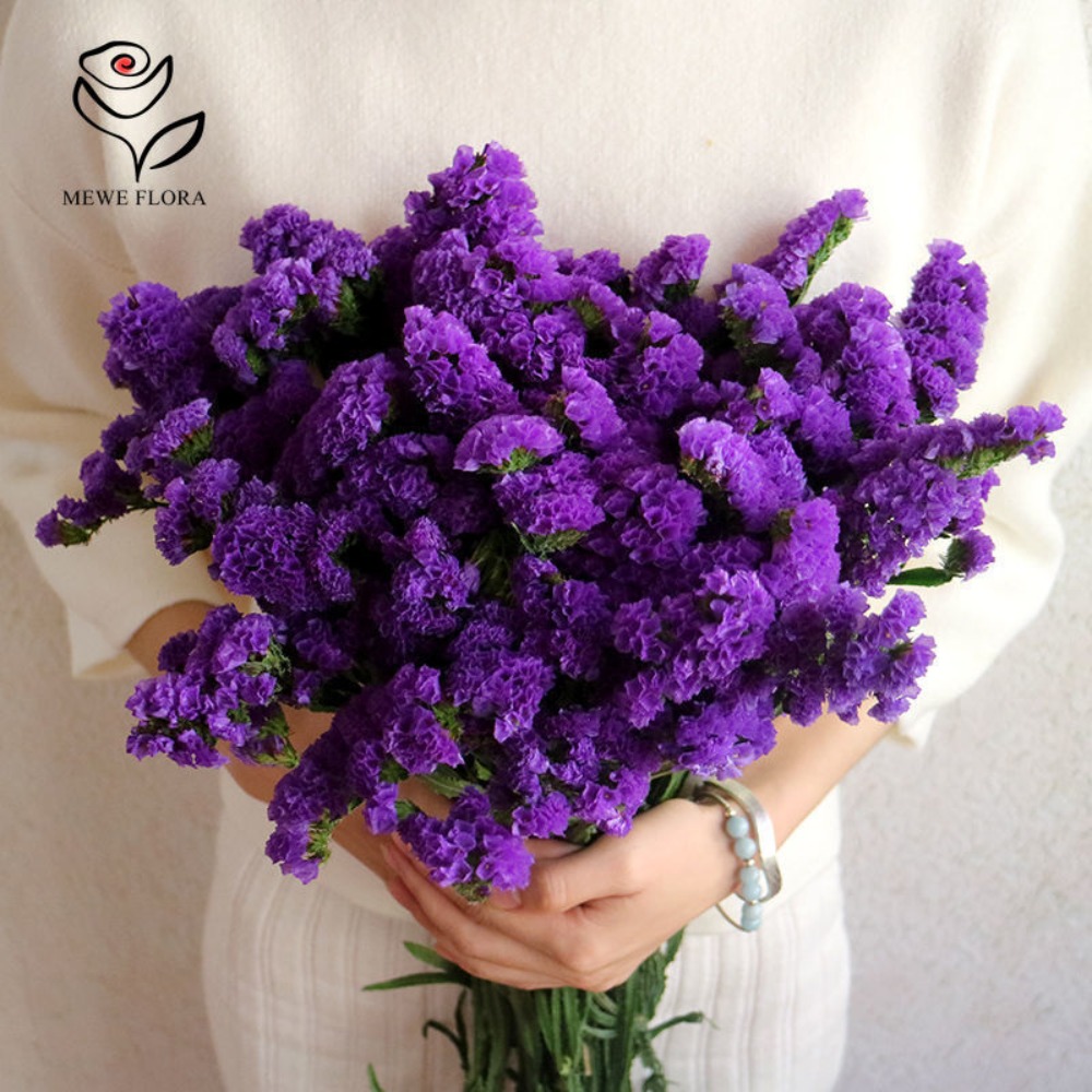 100กรัมแห้งลืมฉันไม่ได้ดอกไม้ม - Dried Flower Bunch บทวิจารณ์และราคา
