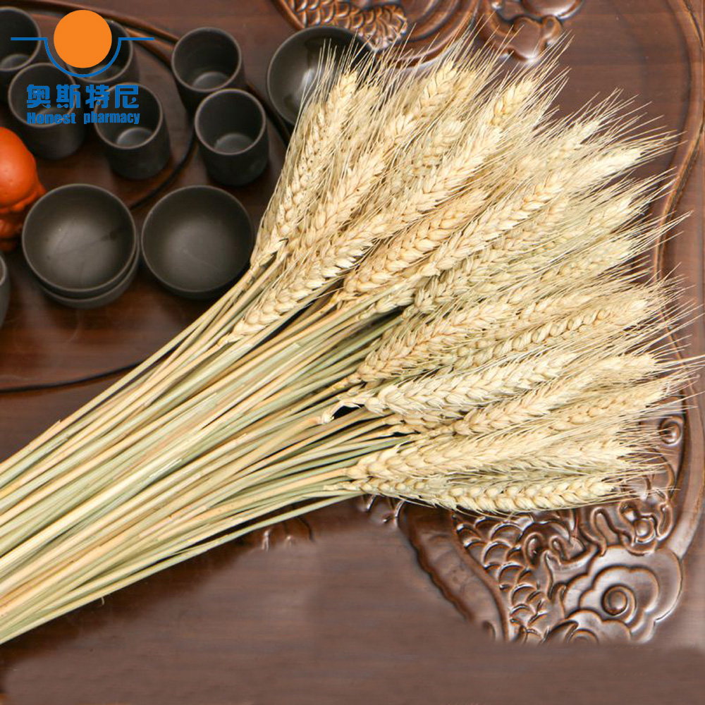 50 ชิ้นดอกไม้แห้งธรรมชาติช่อดอ - Dried Flower Bunch บทวิจารณ์และราคา