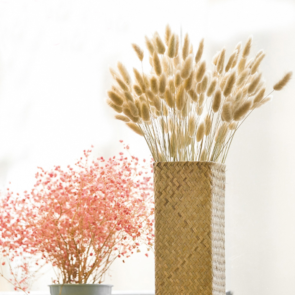 200 ชิ้นธรรมชาติแห้ง Lagurus o - Dried Flower Bunch บทวิจารณ์และราคา