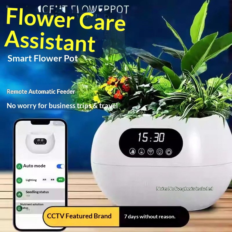 กระถางดอกไม้อัจฉริยะ AI รดน้ำอ - Flower Supply บทวิจารณ์และราคา