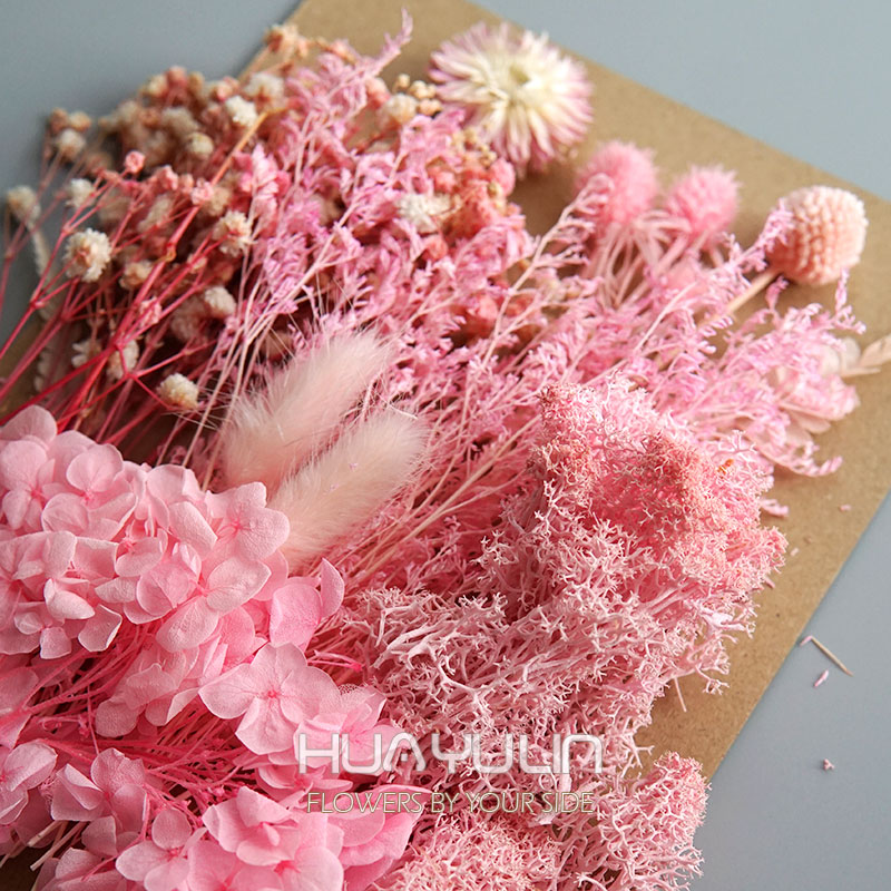 1 แพ็คพืชประดิษฐ์แห้งดอกไม้จริ - Dried Flower Bunch บทวิจารณ์และราคา