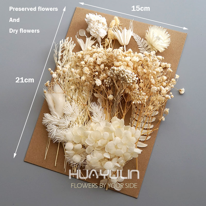 1 แพ็คพืชประดิษฐ์แห้งดอกไม้จริ - Dried Flower Bunch บทวิจารณ์และราคา
