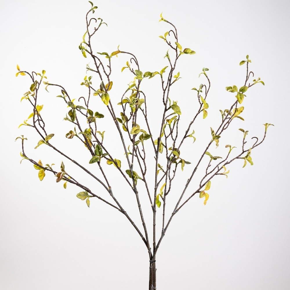 กิ่งไม้จำลองแบบเหมือนจริง กิ่ง - Branch Curly Willow บทวิจารณ์และราคา