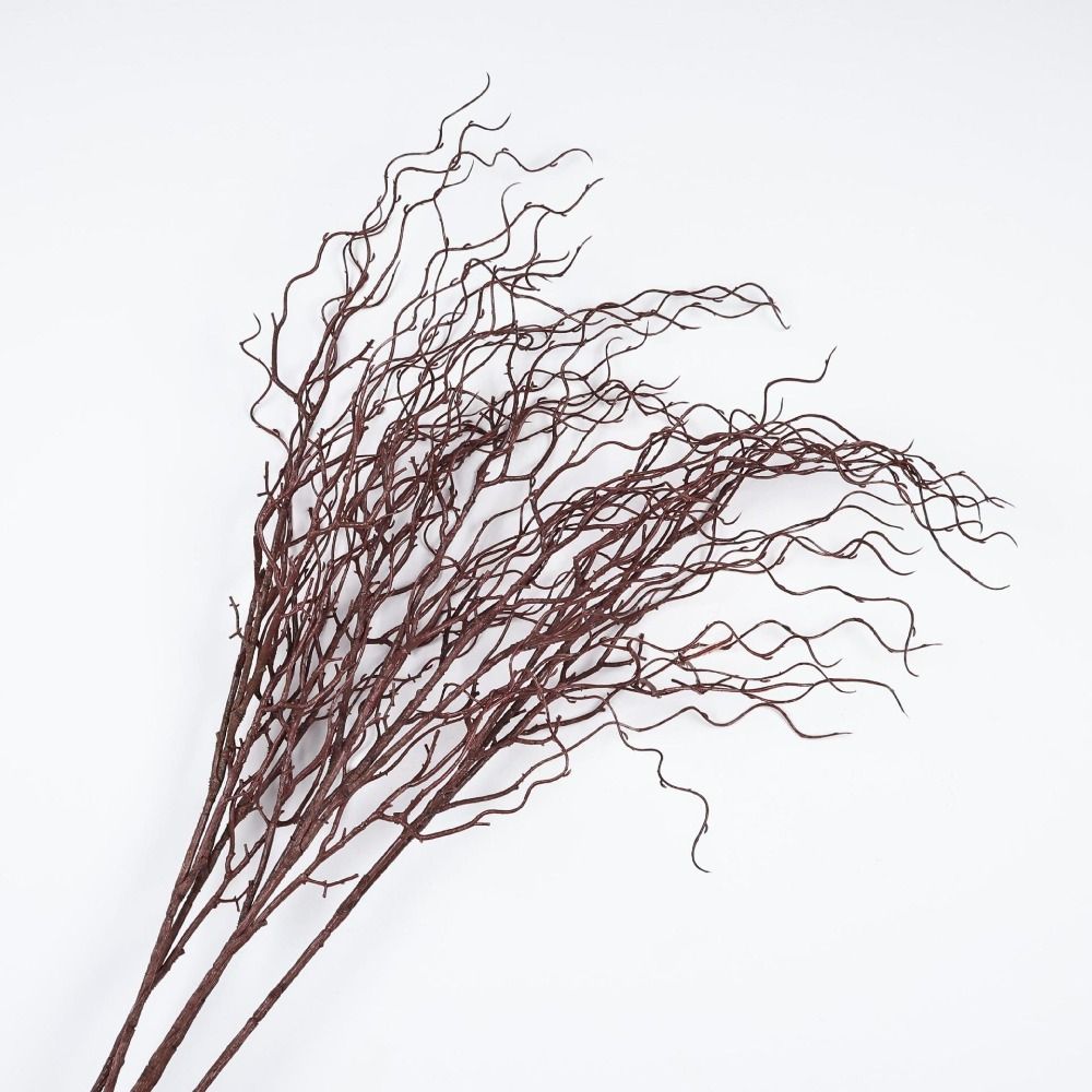 กิ่งหลิวเทียม ยาว 120 ซม. 4 แฉ - Branch Curly Willow บทวิจารณ์และราคา
