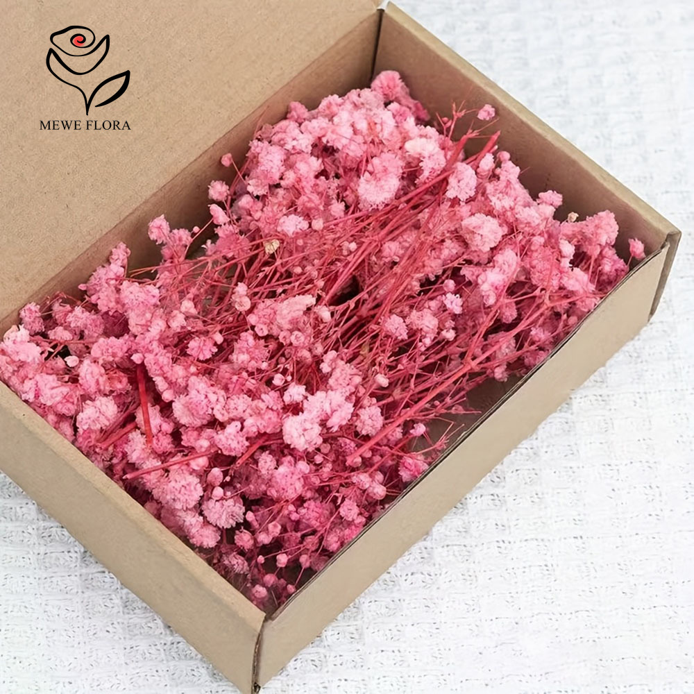 100 สาขาขนาดเล็กแห้ง Baby's Br - Dried Flower Bunch บทวิจารณ์และราคา