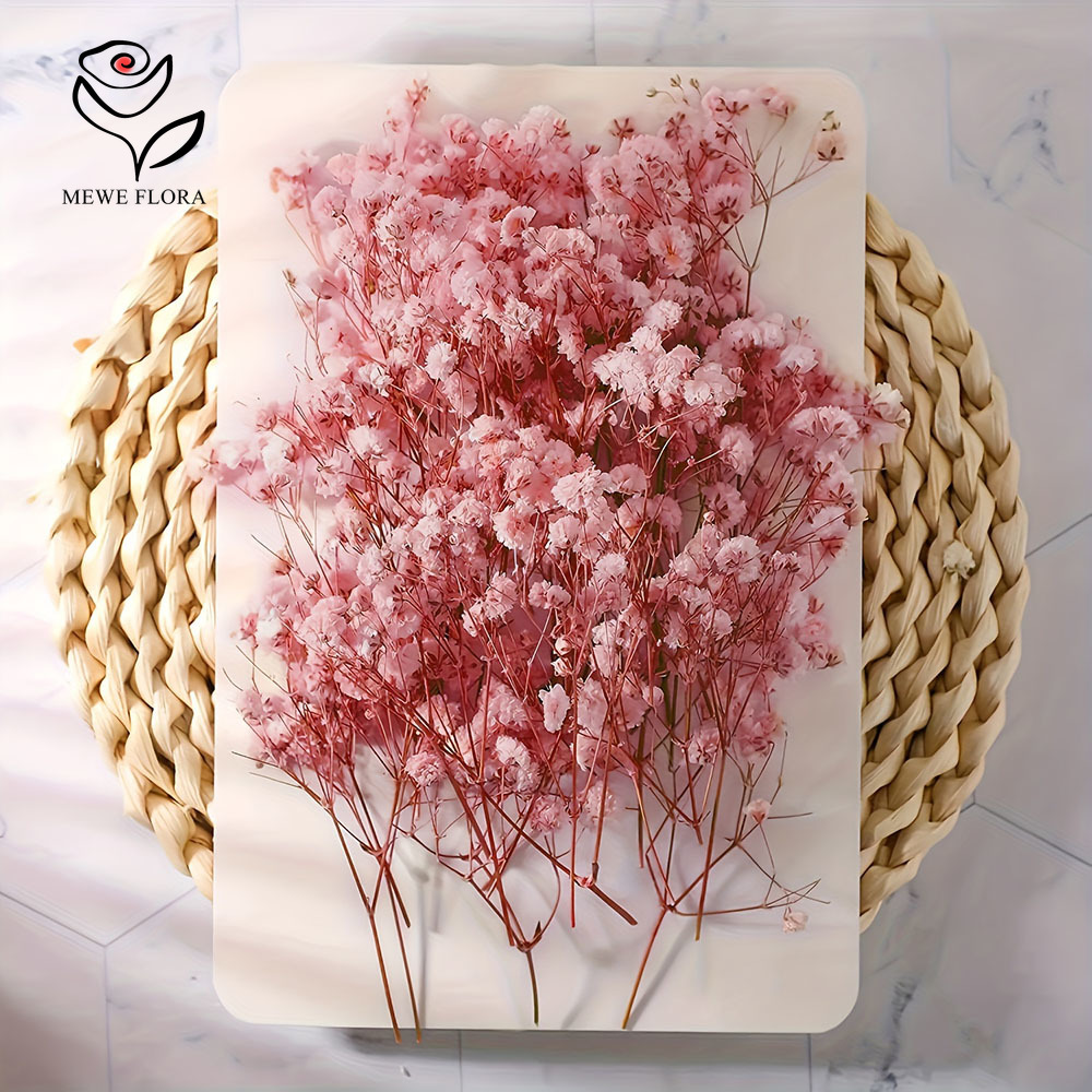 100 สาขาขนาดเล็กแห้ง Baby's Br - Dried Flower Bunch บทวิจารณ์และราคา