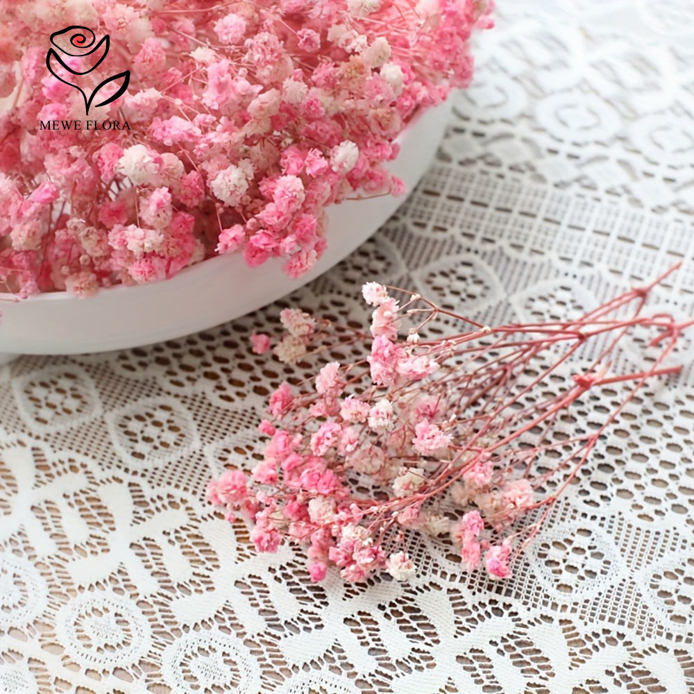 100 สาขาขนาดเล็กแห้ง Baby's Br - Dried Flower Bunch บทวิจารณ์และราคา